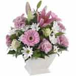 A fantastic pastel arrangement delivered in a container, suitable for any occasi...