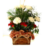 Luxurious Arrangement of Carnations with Symbolic Love and Fascination