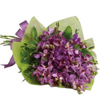 Classic Display ofLavender Orchids