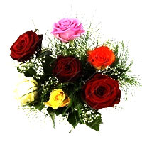 Color: Colorful<br>Surprise your loved ones with these wonderful, colorful, tied...