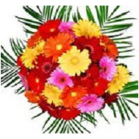 A colorful bouquet of pink and orangef. Germini, yellow chrysanthemums, salal, v...