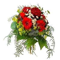 It is tied with red roses, carnations, gerberas, Kamilie and green....