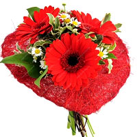 Color: red flowers your gift consists of red gerberas, Kamilie, green and red Si...