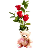 3 Red roses in a Vase with Bear