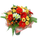 Extravagant Christmas Vibrant Cluster of Blossoms