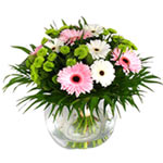 Jolly Wishes with New Year Flowers