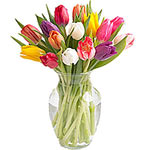 Surprise your parents or friend by sending this delicate bouquet and brings a bi...