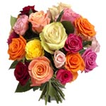 Blossoming 24 Multicolored Roses for Christmas
