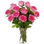 Aromatic Bouquet of Pink Roses
