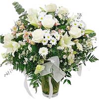 Dazzling collection of elegant white flowers...