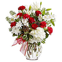 Giving holiday flowers is a wonderful New Year tradition and this delightful bo...