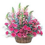 This mixed pink arrangement of alstroemeria, carnations and snapdragons in a han...