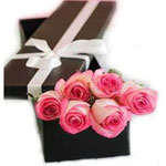 Fresh Christmas Gift Set of 6 Pink Roses