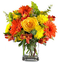 Glorious Bunch of Sundry Flowers in a Vase