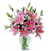Expressive Arrangement of 6 Pink Lilies in a Clear Glass Vase