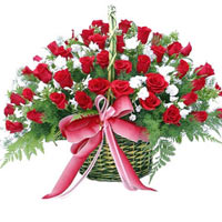 Sweet Collection of 50 Red Roses with White Flower