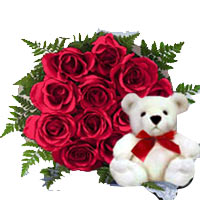 Blooming 1 Dozen Red Roses Bunch with a Teddy Plush