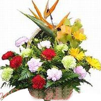 Brilliant Best Wishes Flower Basket