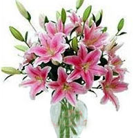 Artful Bunch of 12 Pink Lilies in a Vase