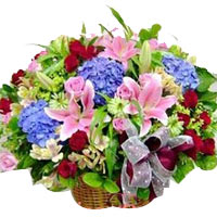 Brilliant Holiday Assortments Flower Basket