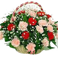 Romantic Red and Pink Carnation Arrangement in a Basket