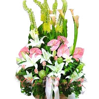 Sweet Collection of Mixed Flowers in a Basket