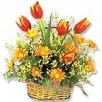 Beautiful Basket of Colorful Flowers