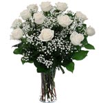 Blushing 12 White Roses in a Glass Vase