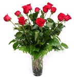 Brilliant Arrangement of 12 Red Roses in a Vase