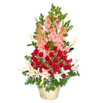 Aromatic Combination of Colorful Flowers