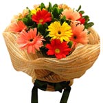 Unique Assemble of Colorful Gerberas with Greens