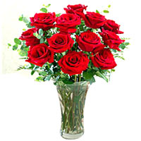 Premium Signature Bunch of 12 Red Roses <br/><br/>