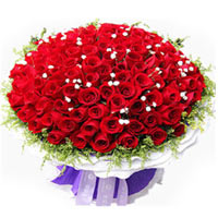 Bright Red Roses all for You Bunch