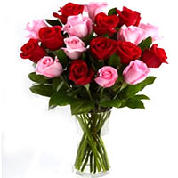 Breathtaking Beautiful Roses in a Vase