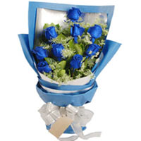 Fresh Attraction with Blue<br/><br/>
