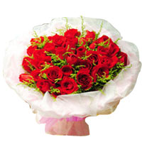 Beautiful Warm-Hearted Red Rose Collection <br/><br/><br/>