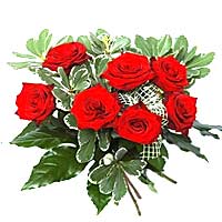 I love you! 7 red roses complemented Greens says it best for you...