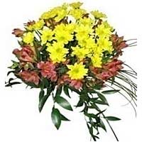Lush harmonies chrysanthemum flowers, 5 and 8 alstromeria supplemented with gree...