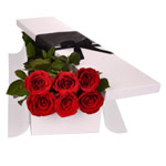 Enchanting Christmas Gift of 6 Red Roses