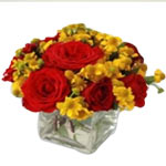 Regal Red Rose and Canarian Flower Cluster in a 10 cm. Cube Glass Vase