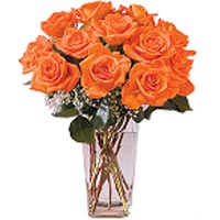 Bouquet of 15 orange Roses. Vase not included....