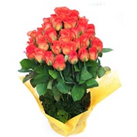 Bouquet of 25 orange Roses...