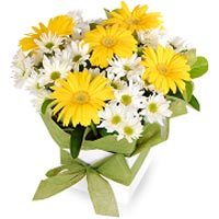 A sensational boxed arrangement bursting with sunshine yellow gerberas and pure ...