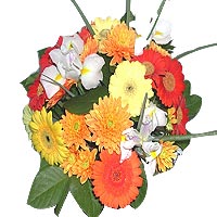 Bouquet of Mini Gerberas, Chrysanthemum and Irises....