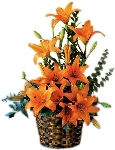 Lily Extravaganza Flower Basket 