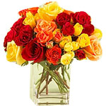 Wild RosesA beautiful bouquet of multi-coloured roses. Pink, red, yellow, white ...