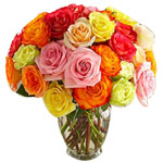 Bouquet of roses of multiple colours...