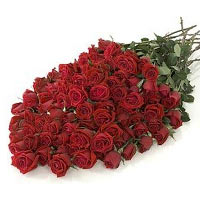Looking for a special arrangement for a very special person. A gift to impress? ...