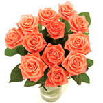 This bunch of beautiful peach coloured roses will thrill u with joy n happiness...