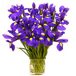 Confess what u feel with this beautiful bunch of irises...